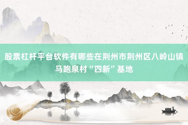股票杠杆平台软件有哪些在荆州市荆州区八岭山镇马跑泉村“四新”基地