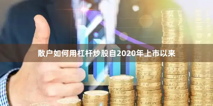 散户如何用杠杆炒股自2020年上市以来