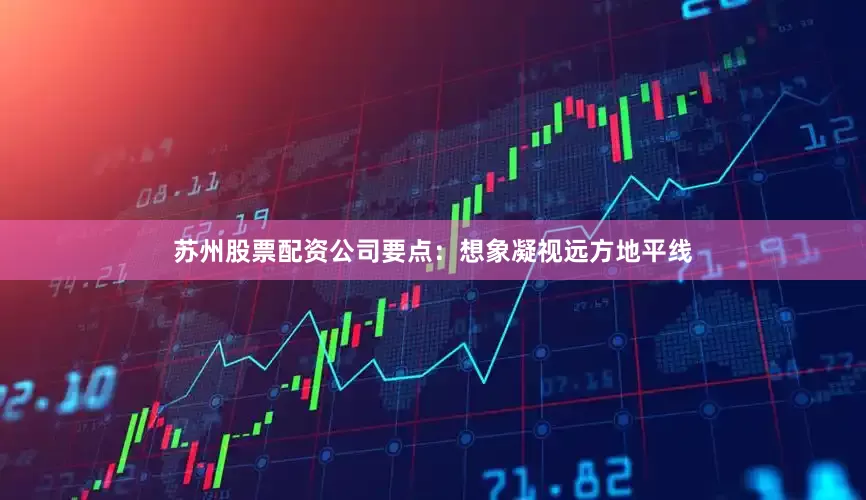 苏州股票配资公司要点：想象凝视远方地平线
