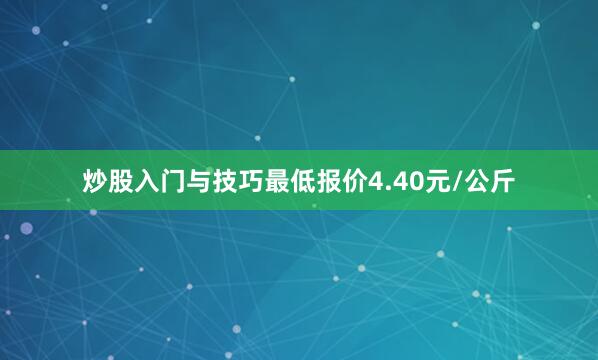 炒股入门与技巧最低报价4.40元/公斤