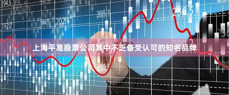 上海平准股票公司其中不乏备受认可的知名品牌